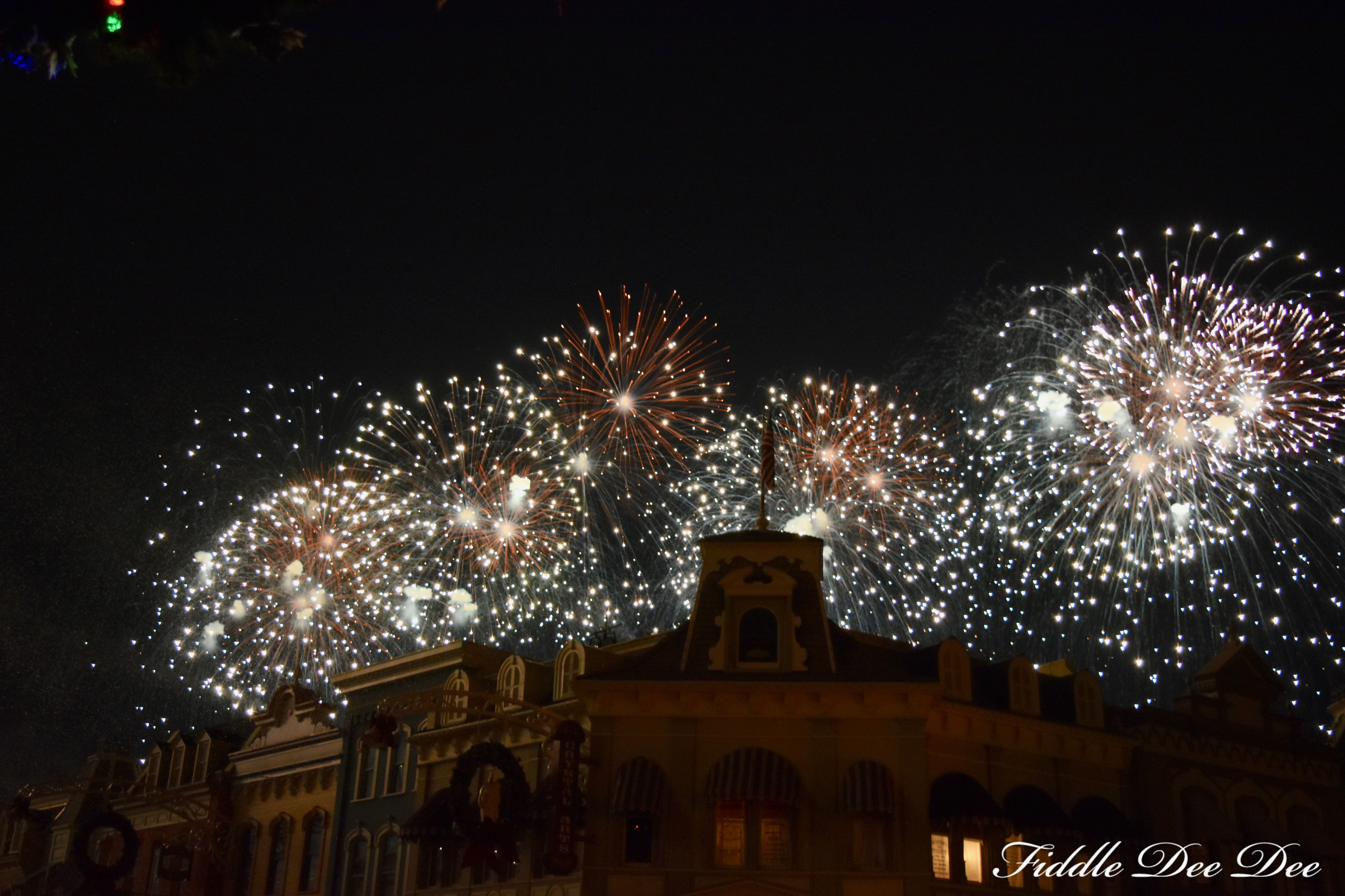 Disney-Fireworks | FIddle Dee Dee