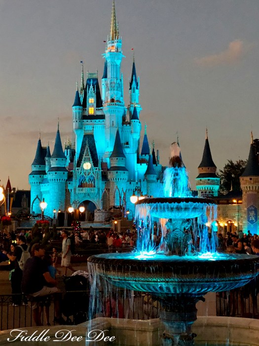 Disney-Magic | Fiddle Dee Dee