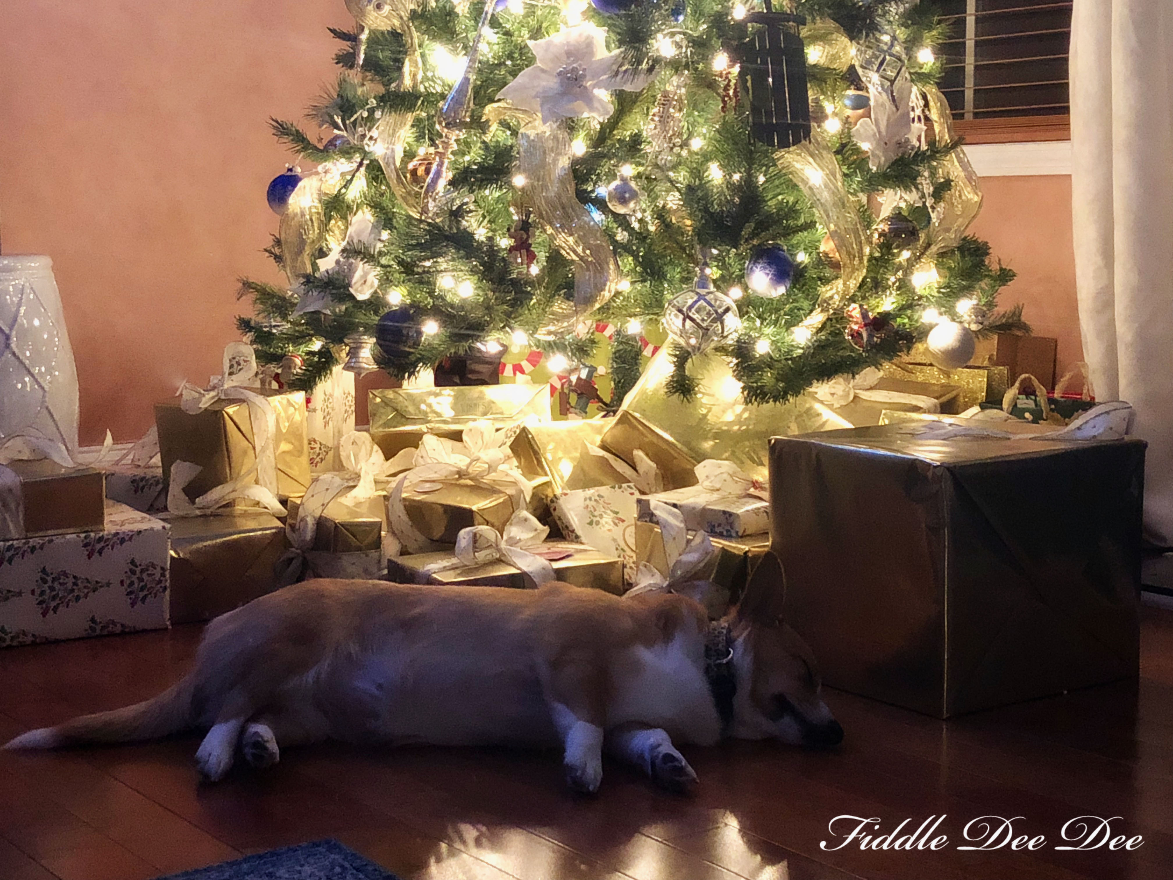 Christmas-Corgi