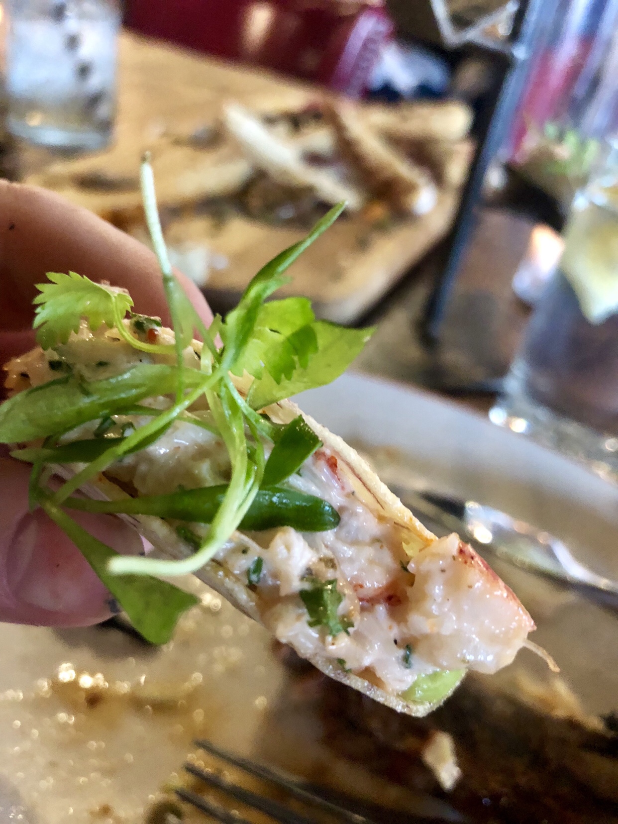 Maine Lobster Mini Taco Uncle Jack's Meat House