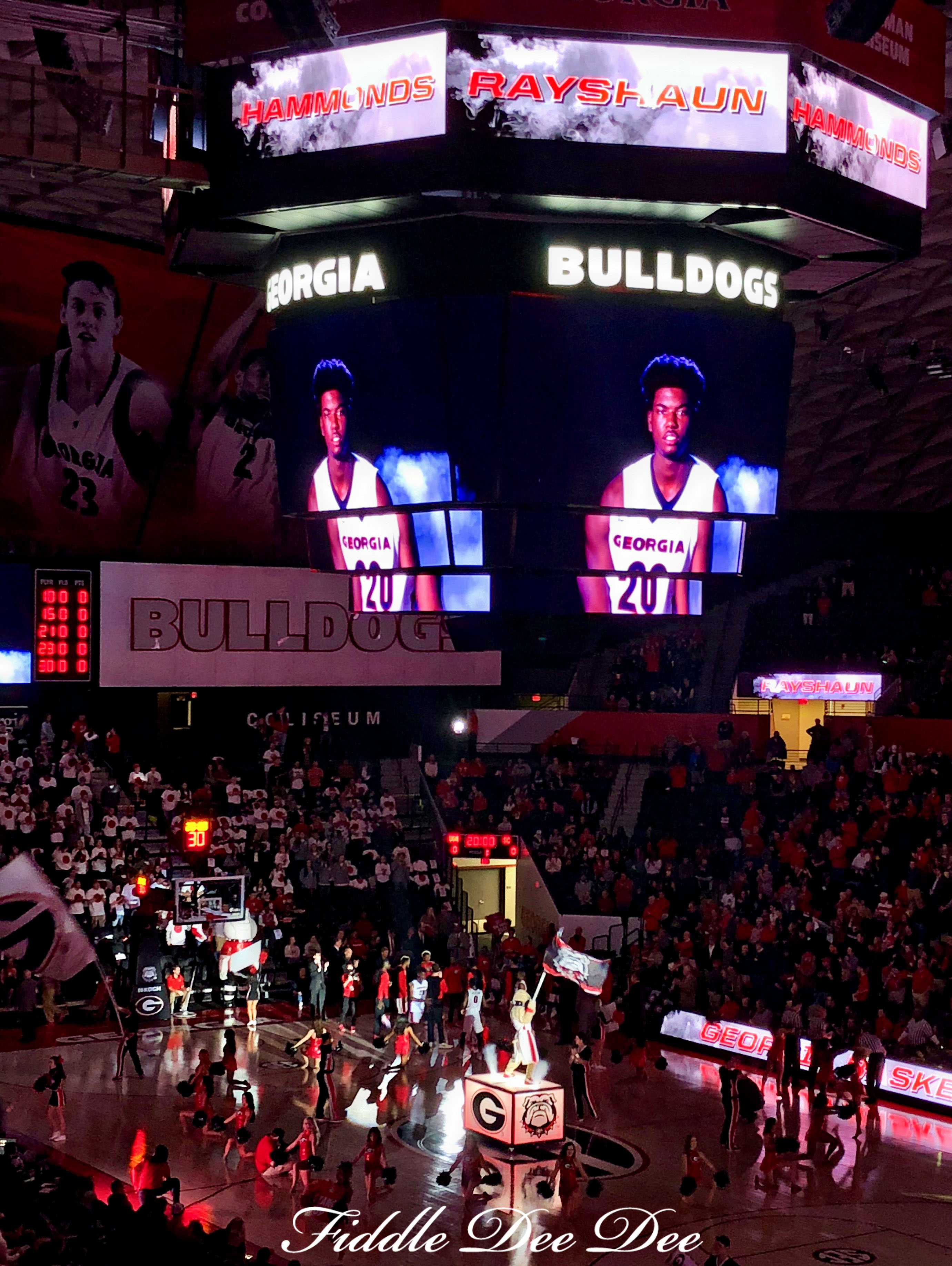 UGA-Basketball | Fiddle Dee Dee