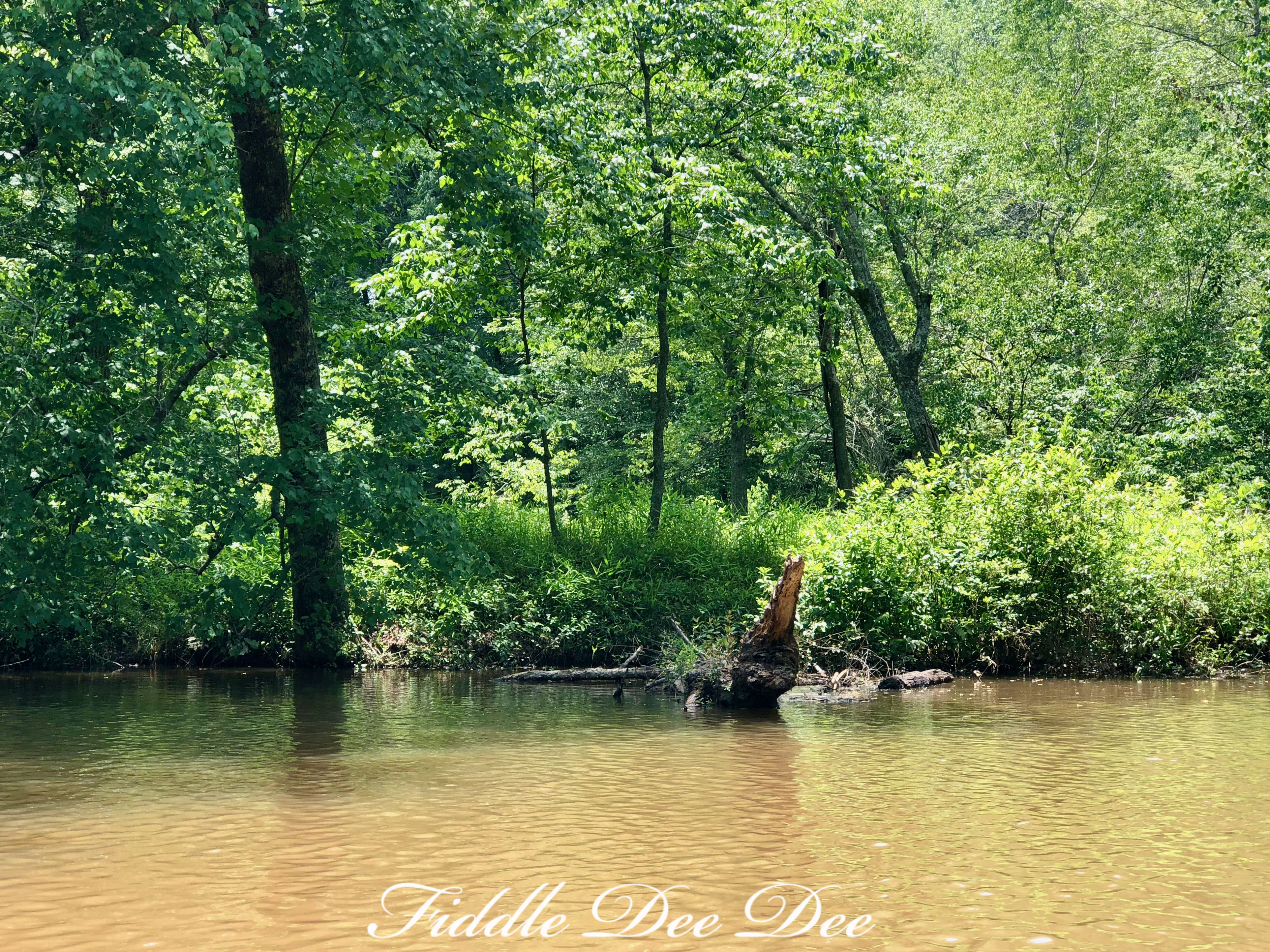 south-fork-broad-river