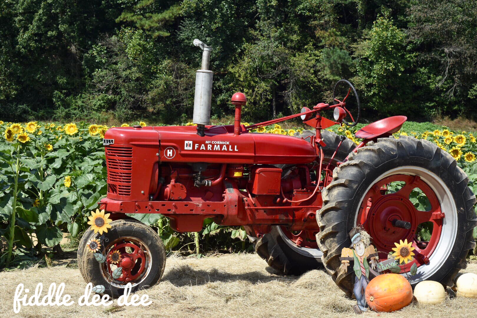 Autumn Scenes / Fiddle Dee Dee