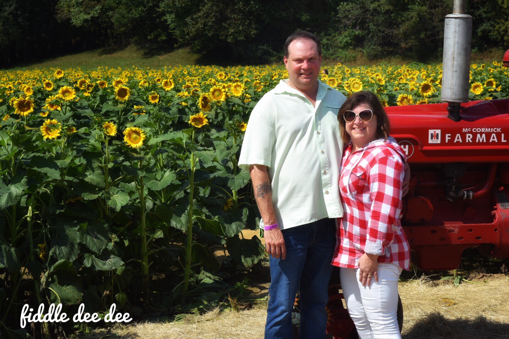 date day fausett farms / fiddle dee dee