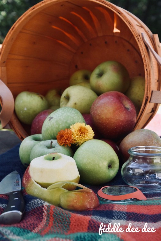 Fresh Picked Orchard Apples