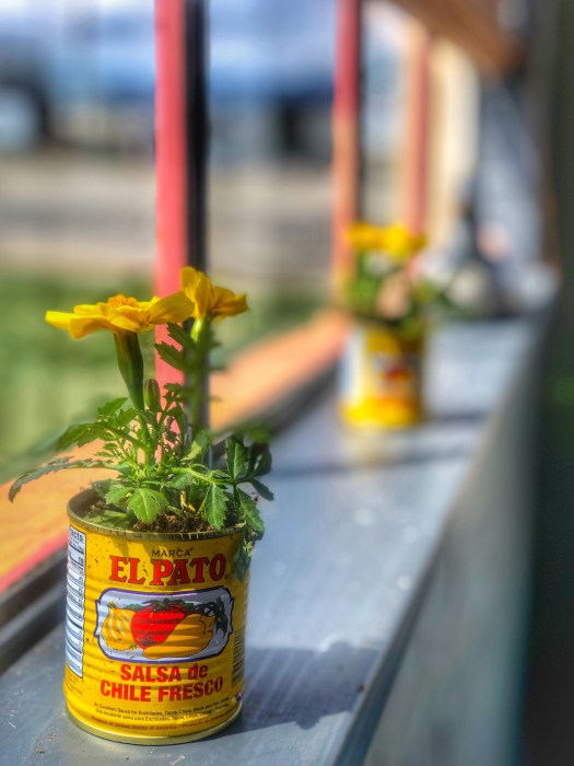 Window Views from the FourWay / Oh FIddle Dee Dee