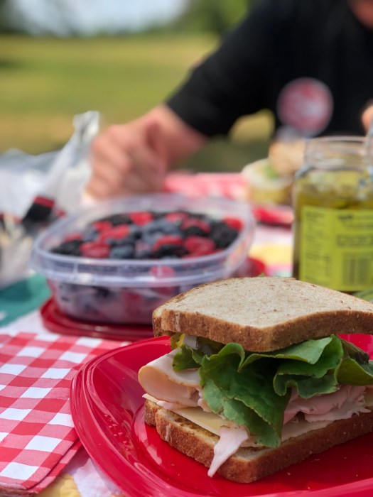Providence Canyon Picnic / Oh FIddle Dee Dee