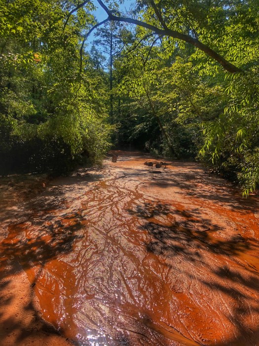 Canyon Floor at Providence Canyon / Oh Fiddle Dee Dee
