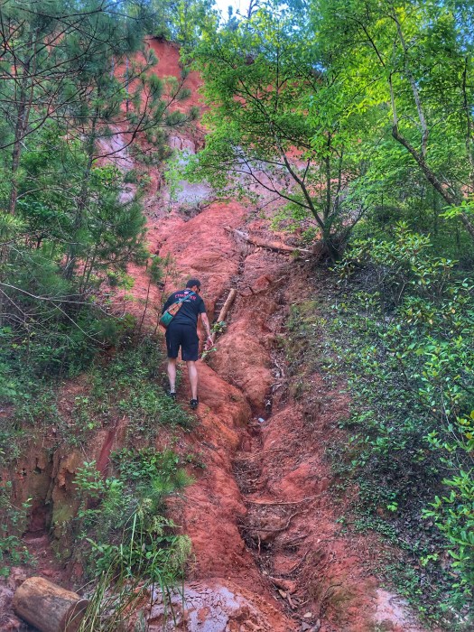 Providence Canyon / Oh Fiddle Dee Dee
