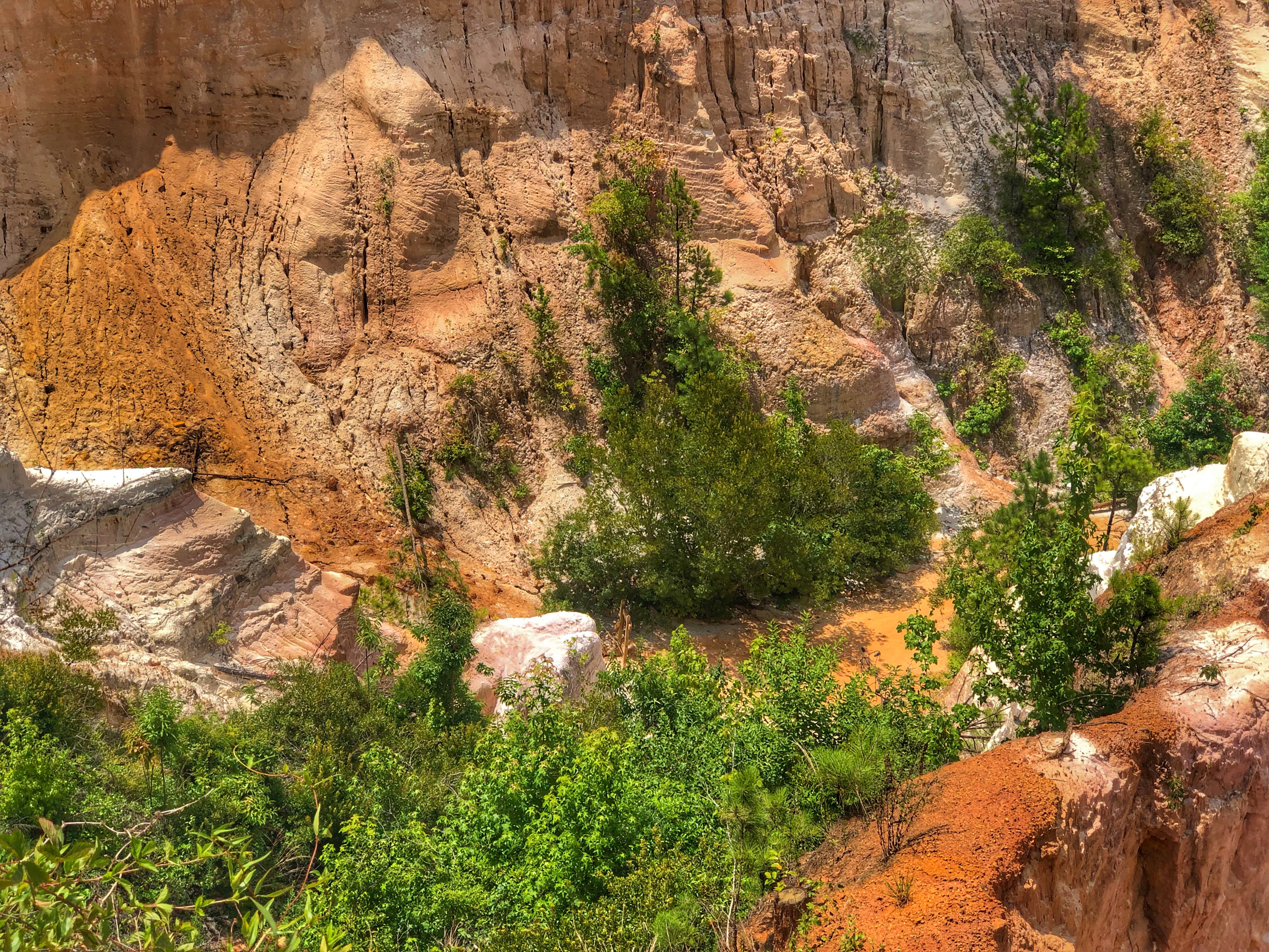 Looking down onto Providence Canyon Trails / Oh FIddle Dee Dee