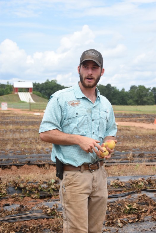 Southern Belle Farm tour / Oh Fiddle Dee Dee