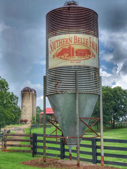 Southern Belle Farm / Of Fiddle Dee Dee