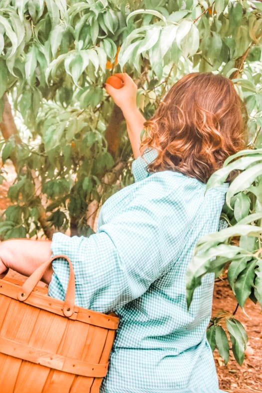 Picking Peaches / Oh Fiddle Dee Dee